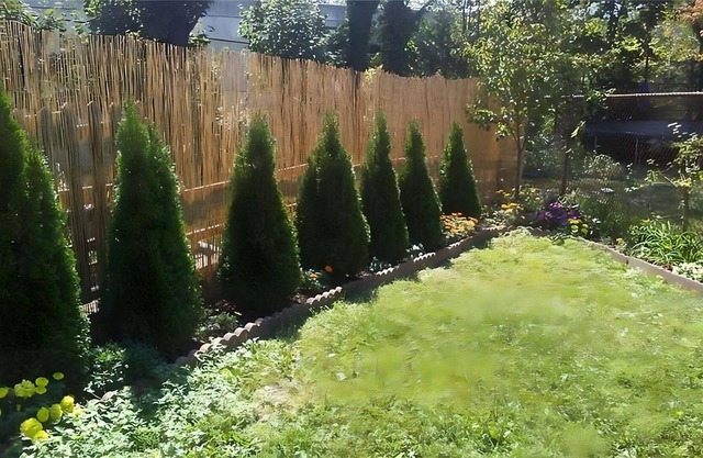 Cute, convenient house minutes to town and to the train to NYC