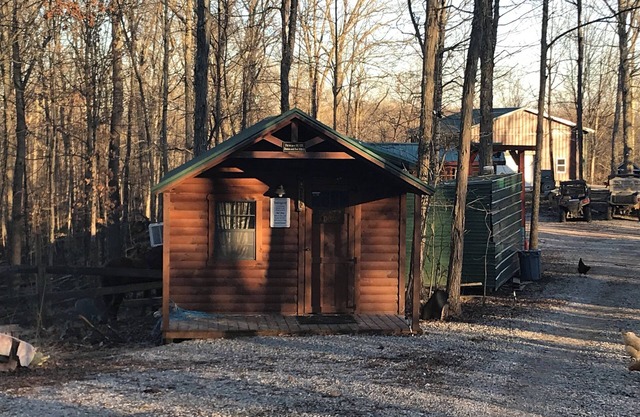 Cute cozy cabin