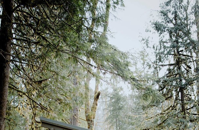 CYCLOPS: A Cabin Escape in the Cascades