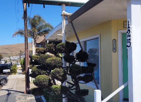 Cypress Tree Motel