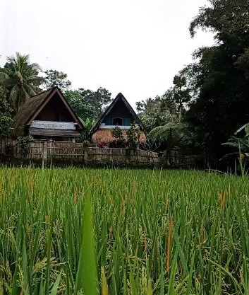 D'Bulan bungalows and kafe