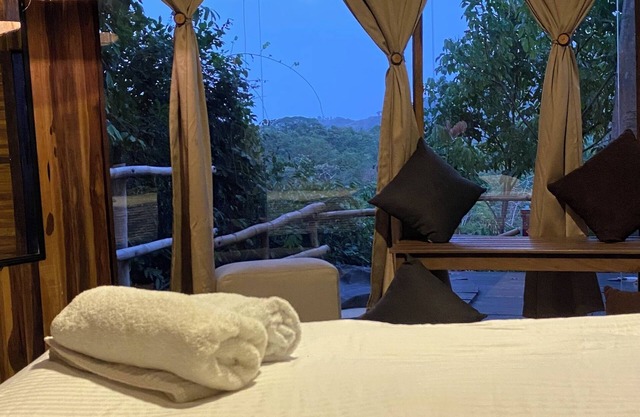 Dacnis tayrona glamping