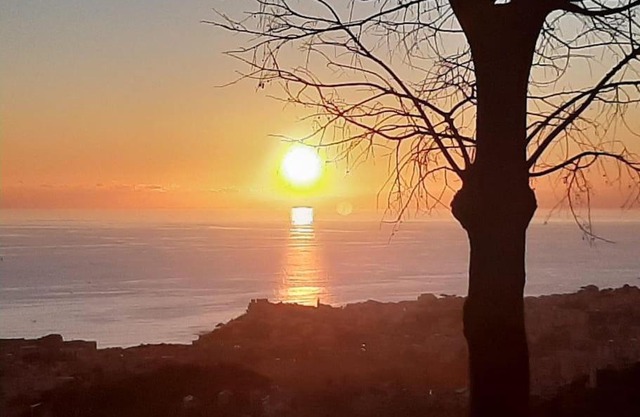 Dal Moro 44