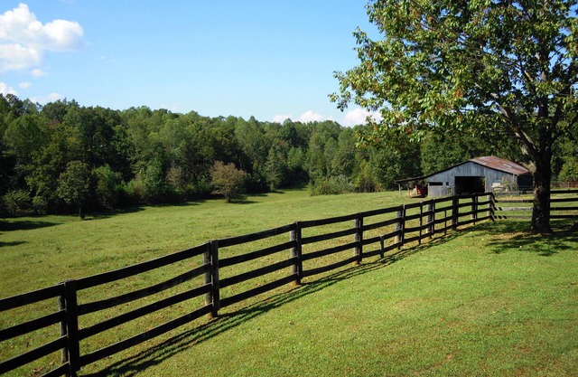 Dale Hollow Cabin neben dem State Park W / FREE COVERED Slip & New Furnishings!