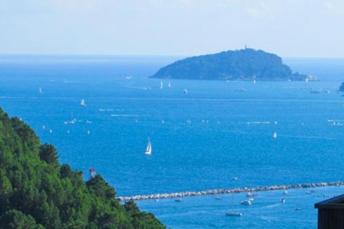 Dalla Isi il giardino sul golfo