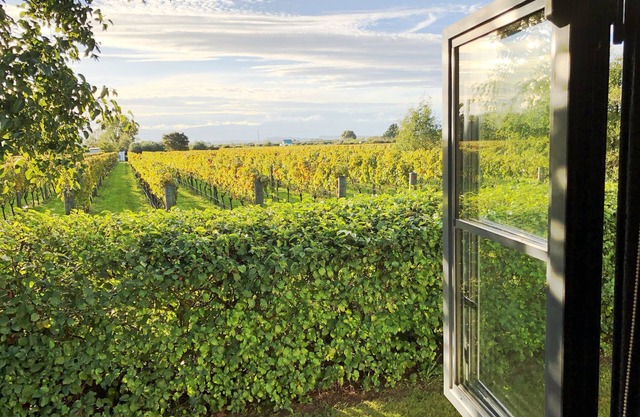 Bleiben Sie zwischen den Reben in Martinborough