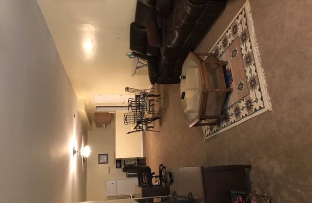 Daylight Basement Apartment