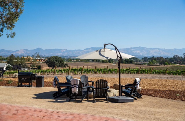 Deboem Vineyard | 20-Acre Organic Wine Retreat!