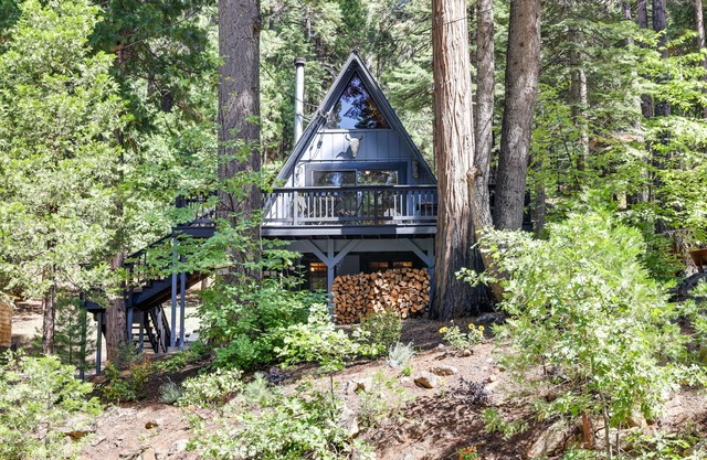 Decks, Grills + Fire Pit: Camp Connell Hideaway!