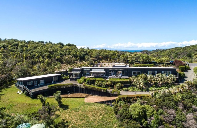 Delamore Cove - Kowhai / You've Got It Maid