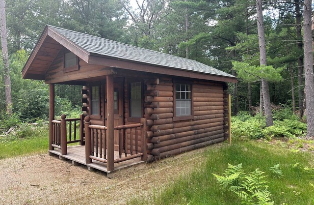 Delightful cabin in Big Rapids for a cozy getaway