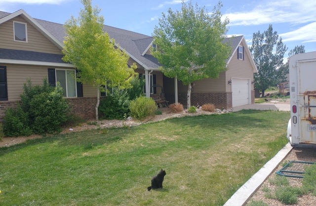DELIGHTFUL FARM STAY WITH ANIMALS-
