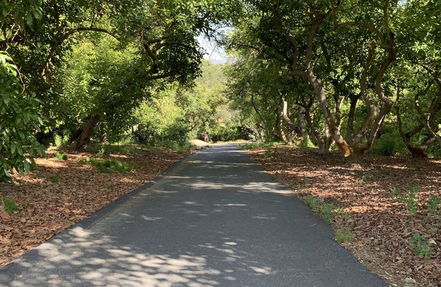 Delightful newly renovated 2 bedroom nestled within an avocado grove.