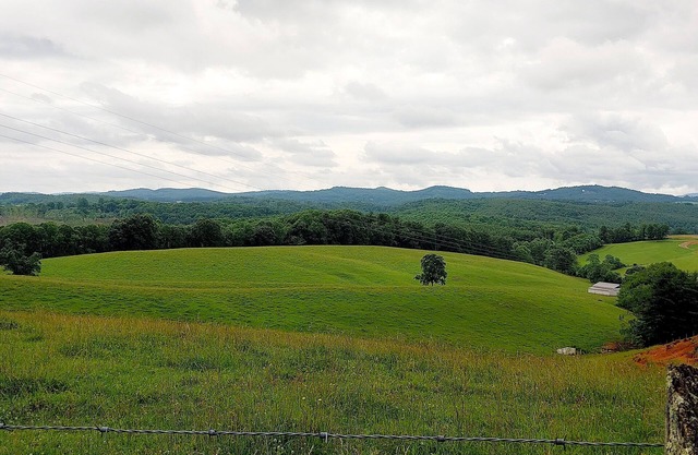 Delightful residential campsite in Galax with stunning views.