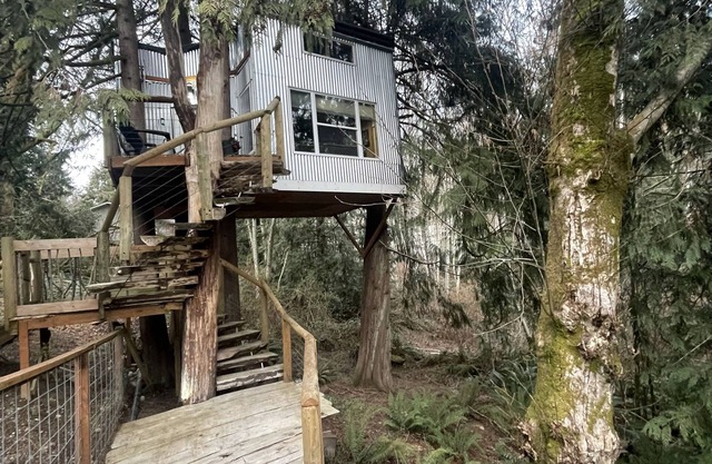 Delightful Treehouse Getaway