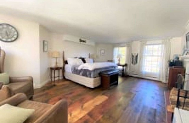 Deluxe King Room w/fireplace and separate entrance