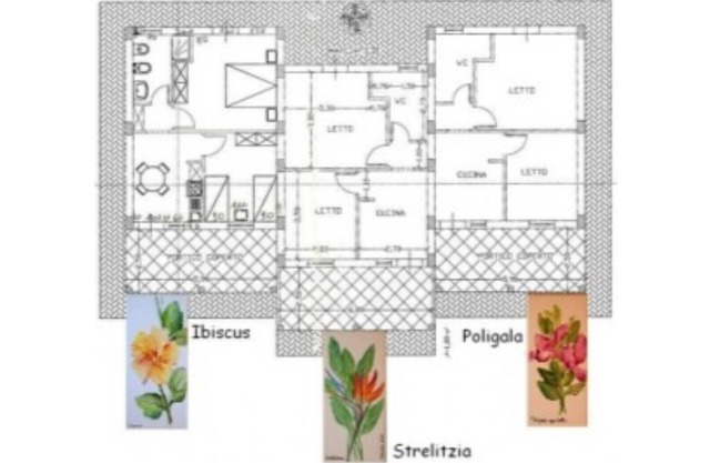 Deluxe Dreizimmerwohnungen - Strelitzia - in Le Casette sul Mare