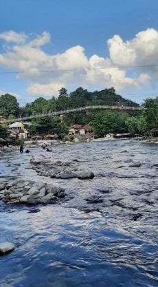 Dendi guest house & orang utan explore