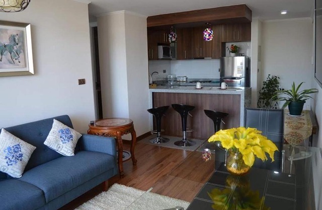 Departamento Concepción III