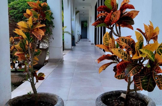 Departamentos X Kanlol