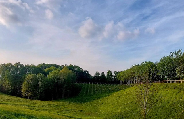 Dépendance at l'Eremo in the Prosecco hills