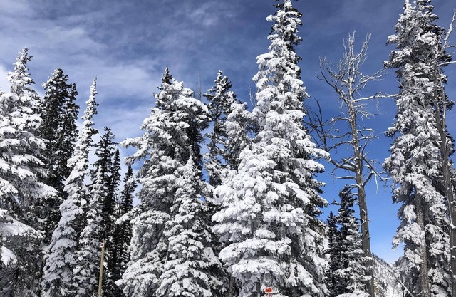 Wünschenswerte Aspens 'Berry Patch Condo Creekside Abgeschiedenes neues Bad und Fußböden