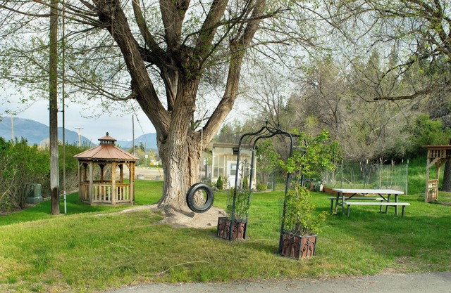 Dew Duck Inn