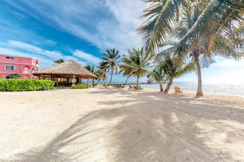 Dhalia #21 at Caribe Island -Gold Standard Certified