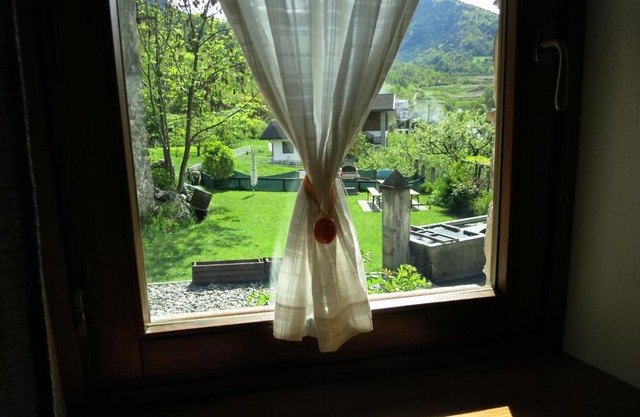 Dialley prato Cir0014