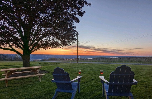 Diamond in the Vines, the heart of FLX wine county