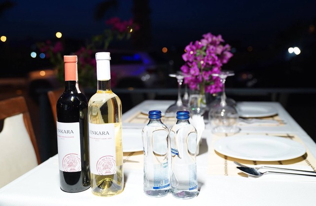 Didim Palace Hotel