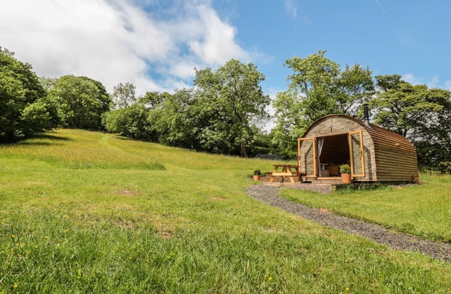 DINGLE DEN, haustierfreundlich in Craswall, Herefordshire, Ref 986635