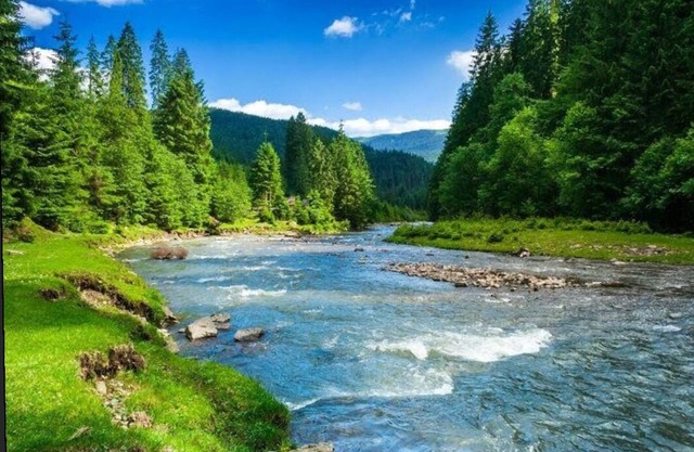 Discover Lakes, Rivers, Tahoe National Forest