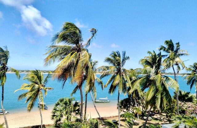 Discover Shela Bliss: Your Family Haven in Lamu's Enchanting Archipelago