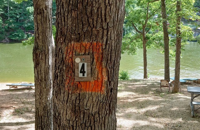 DnD Campground Site #4 Primitive Lake Front Camping