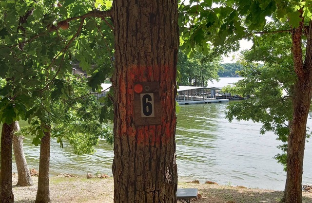 DnD Campground Site 6 Lake Front Primitive Camp site