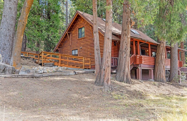 Dog-friendly cabin in the woods with WiFi, wood stove, and private washer/dryer