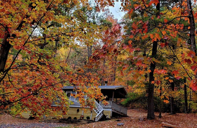 Dog friendly cabin. Peaceful nature getaway.