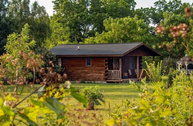 Abgelegene Hütte in Weinland - Haustiere erlaubt, inklusive Frühstück!