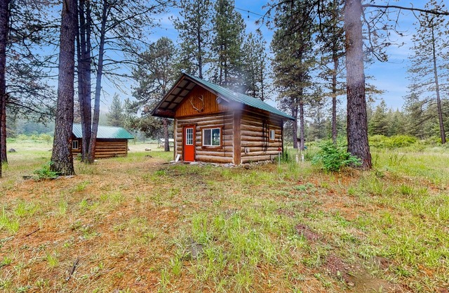 Dog-friendly secluded cabin with outdoor dining, grill, hammock, games, & W/D