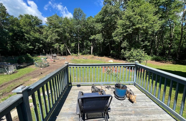 Dog lover’s retreat with acres to roam, farm animals, and plenty to explore!