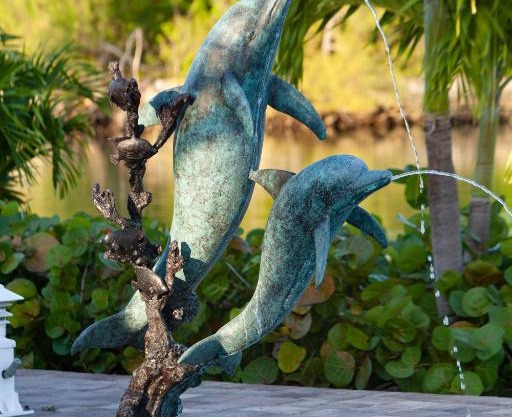 Dolphin Cove