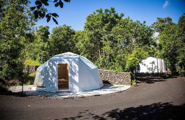 Domes Azalia