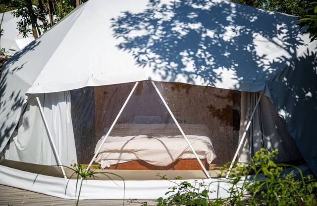 Domes Beech