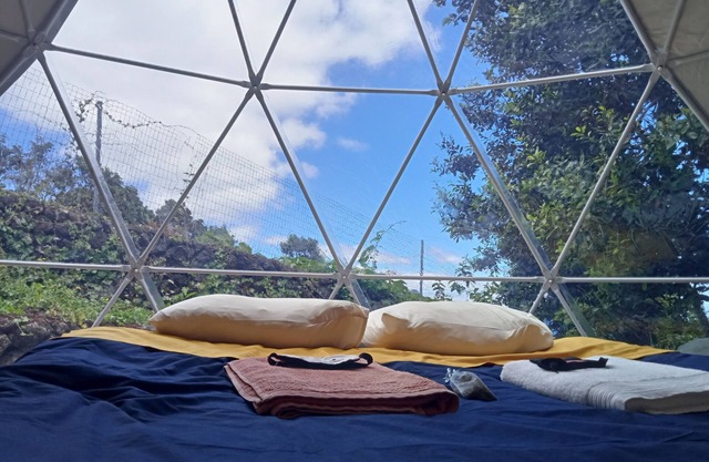 Domes Criptoméria - Angra do Heroísmo - Azores