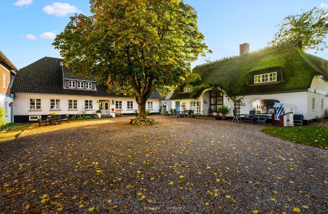 Dornröschen II - Reetdachhaus, Terrasse, Gartenmöbel, Duschbad, WLAN, TV