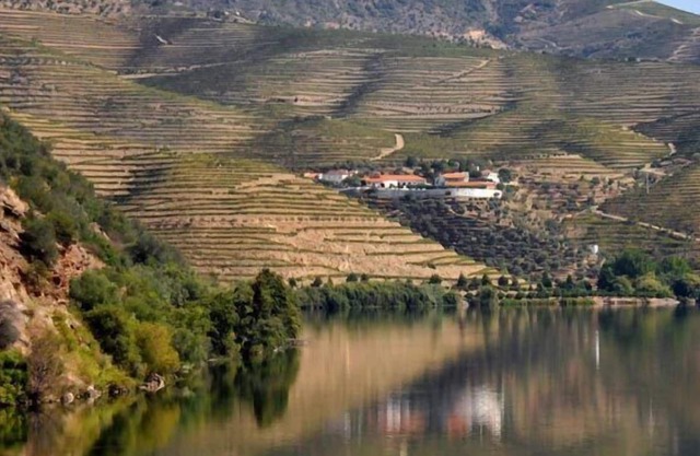 Douro House Loft