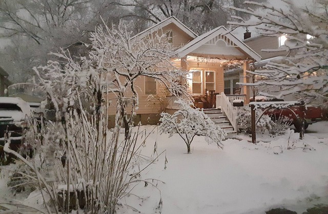 Downtown Ferndale is steps away from your home. Entire house plus fenced yard!
