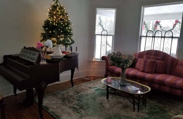 Downtown GR apartment on Medical Mile, covered front porch cross from Coit Park