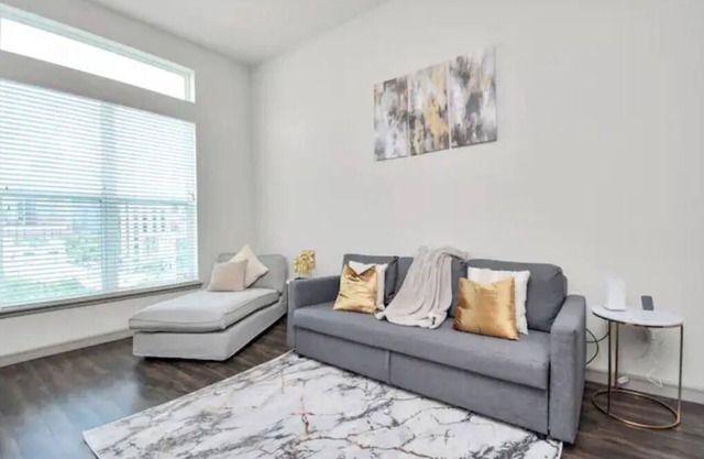 Downtown Houston Luxury Mid-Rise Apartment